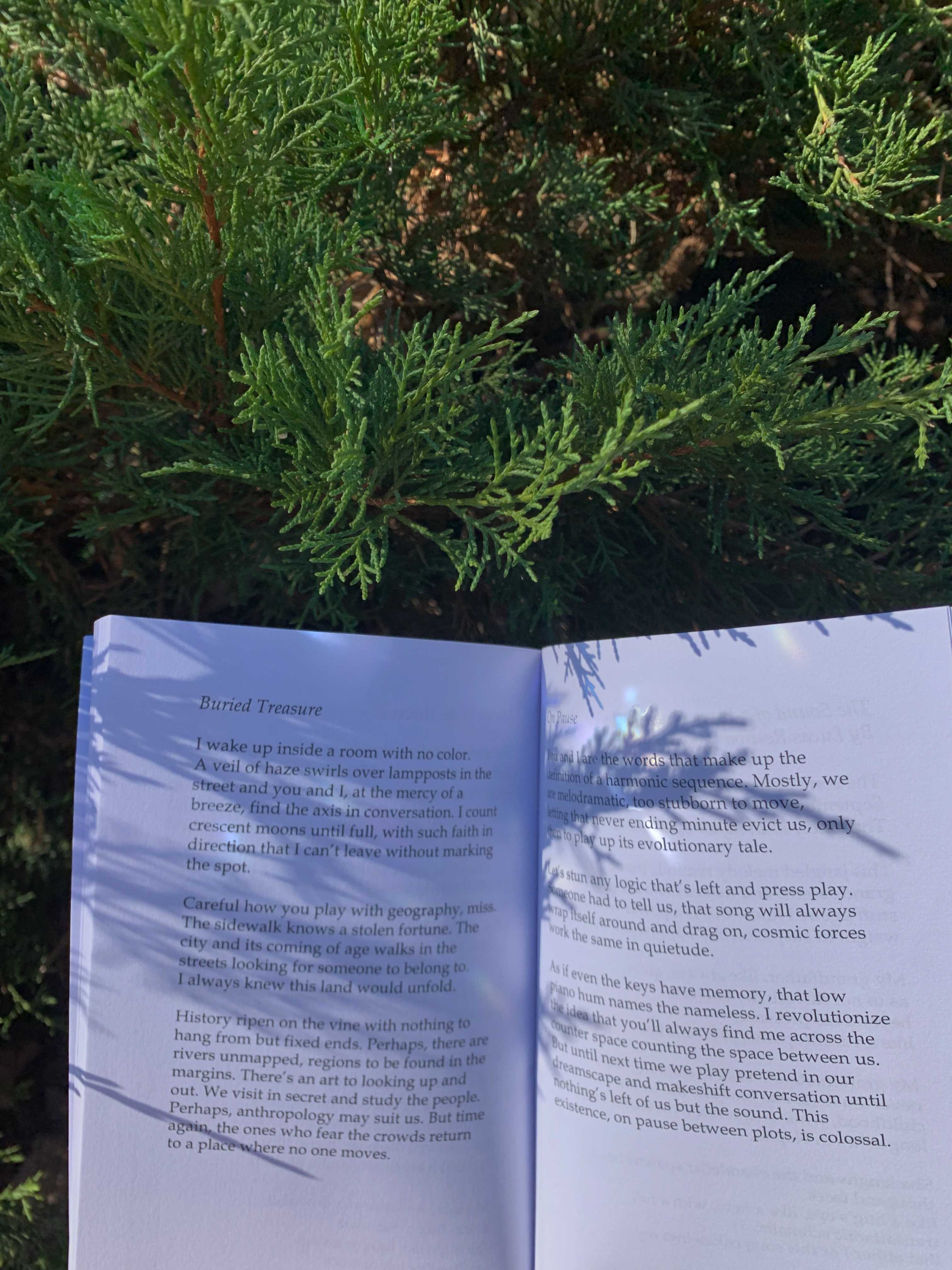 poetry book in a bush
