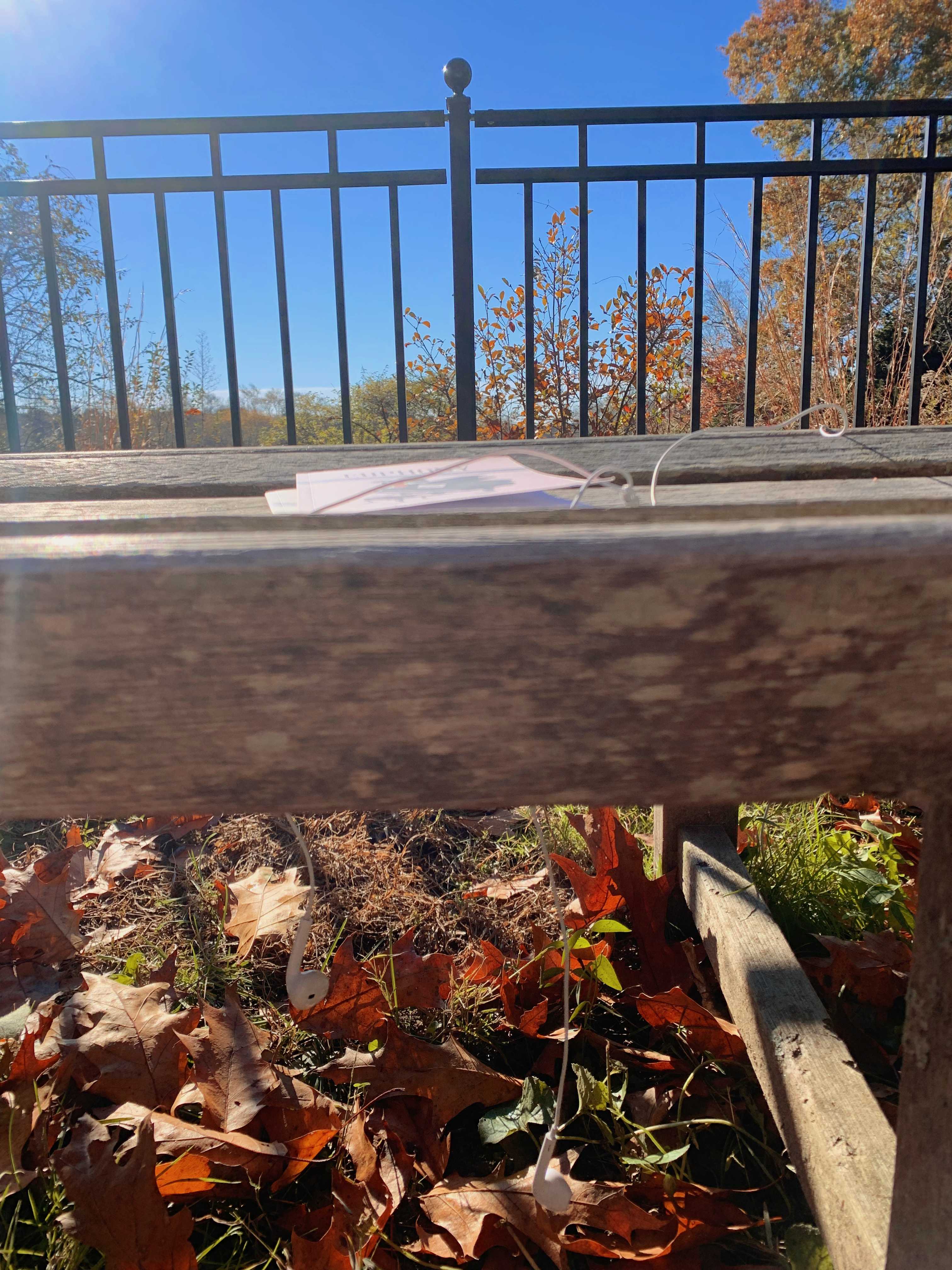 bench with leaves and poetry book