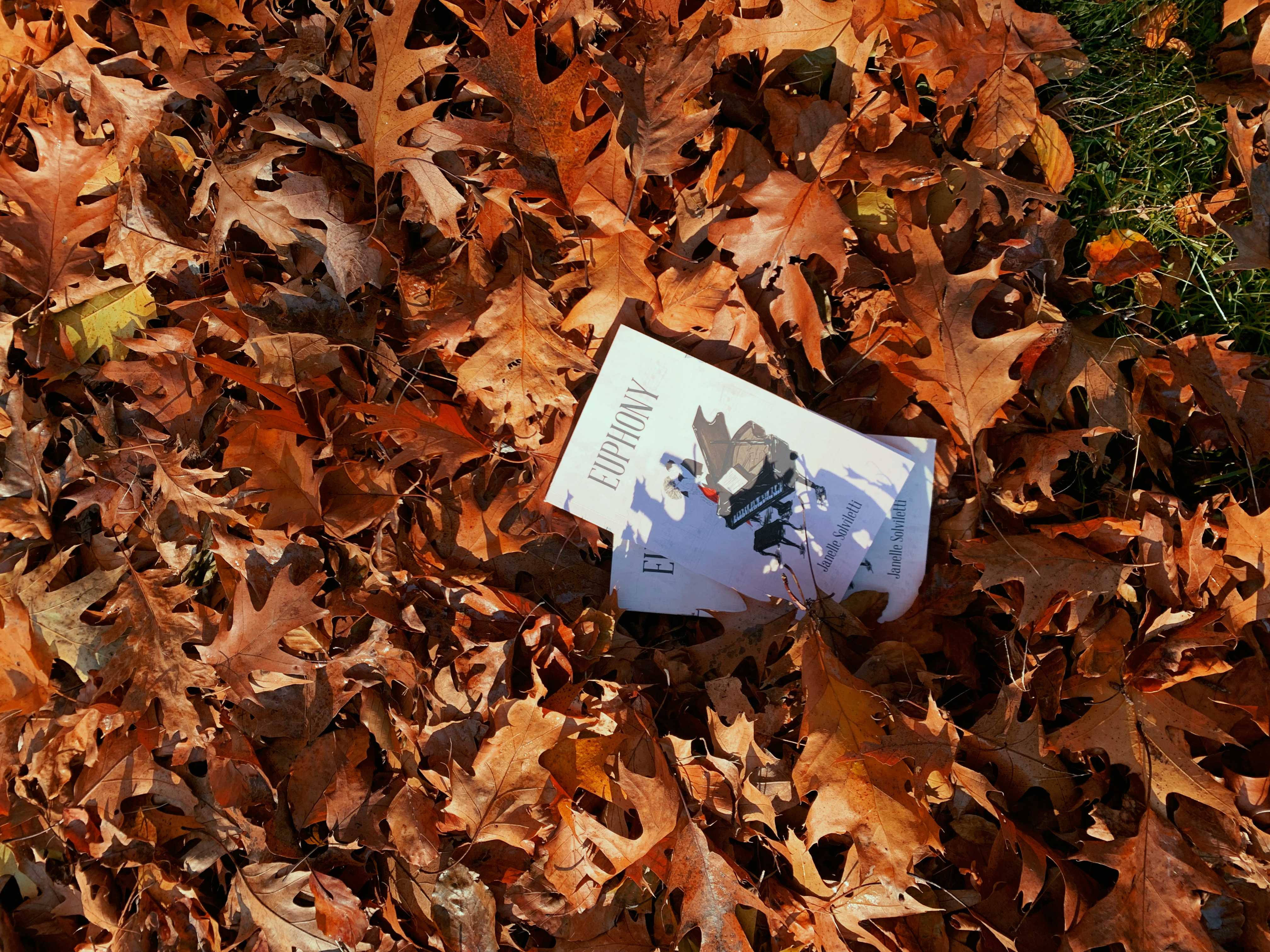 euphony poetry book in leaves